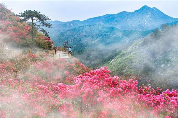 武漢黃陂區(qū)云霧山拓展基地