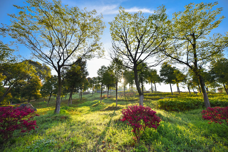 黃陂木蘭花谷風(fēng)景區(qū)